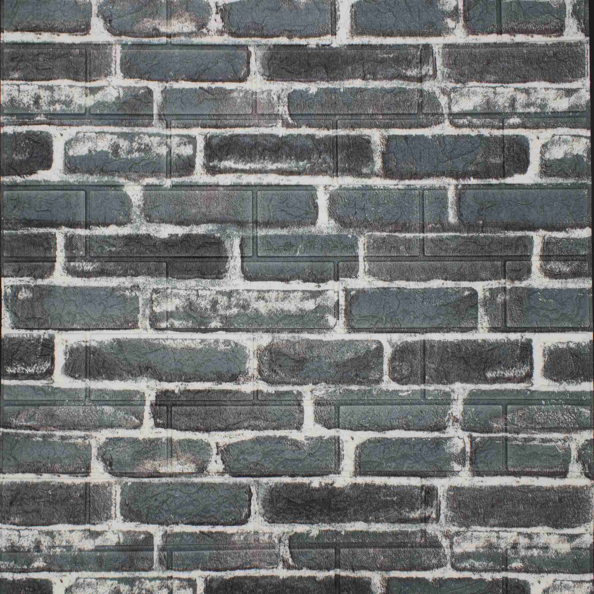 HG-ZW-19